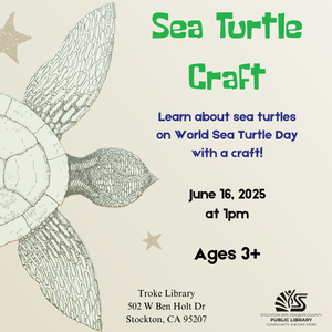 Sea Turtle Craft